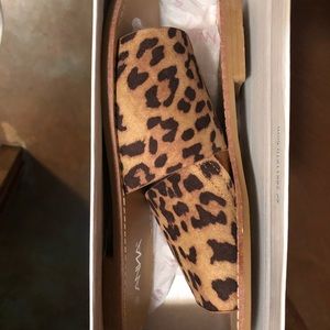 Leopard slides